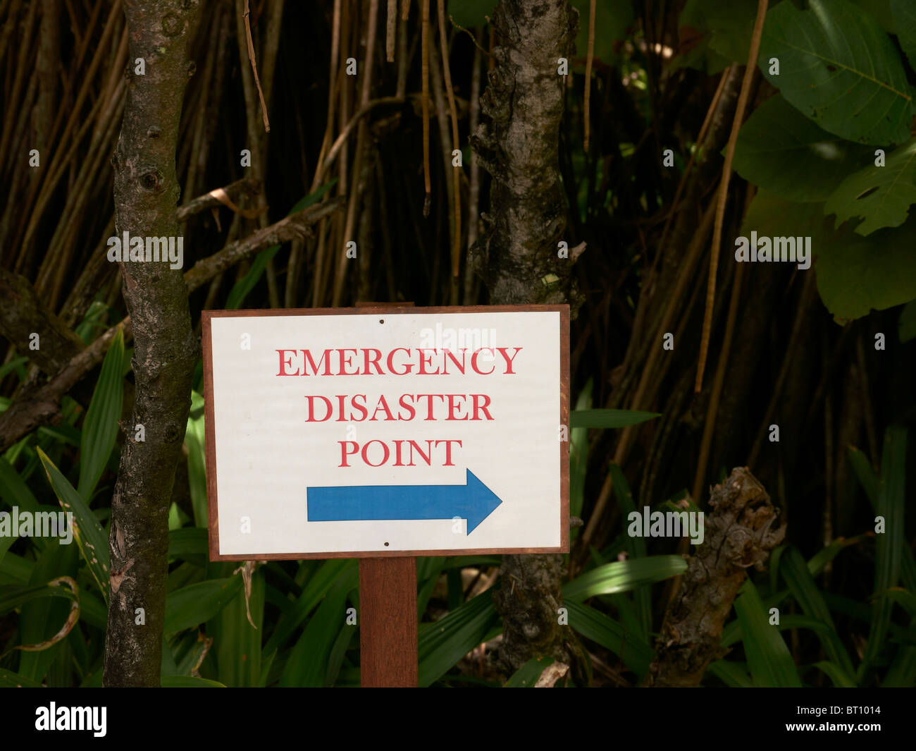 Emergency Disaster sign Stock Photo