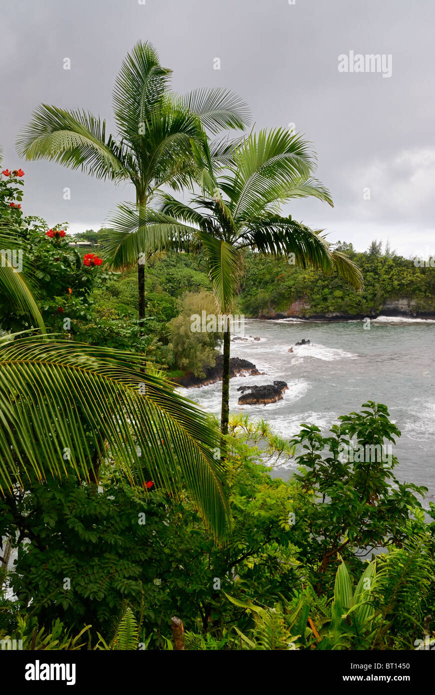 Onomea Bay near Hawaii Tropical Botanical Garden in Hilo, Big Island, Hawaii, USA. Stock Photo
