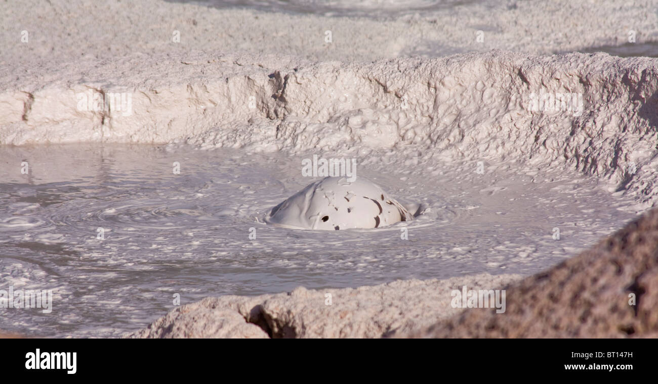 Bursting bubble in mudpot, Yellowstone National Park, USA Stock Photo