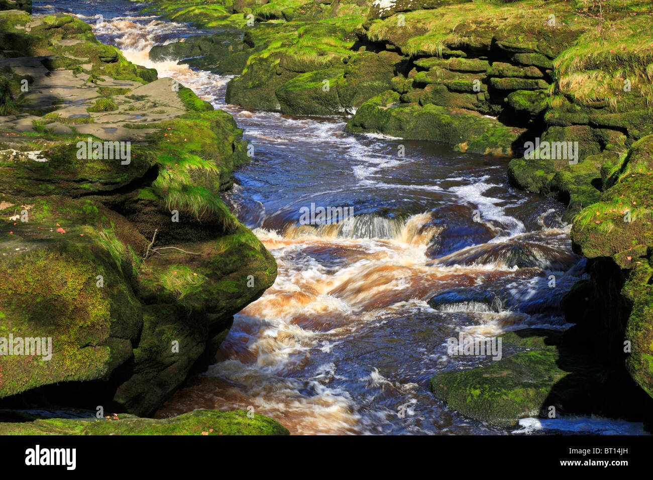 River Wharfe at The Strid near Bolton Abbey, Yorkshire Dales National ...