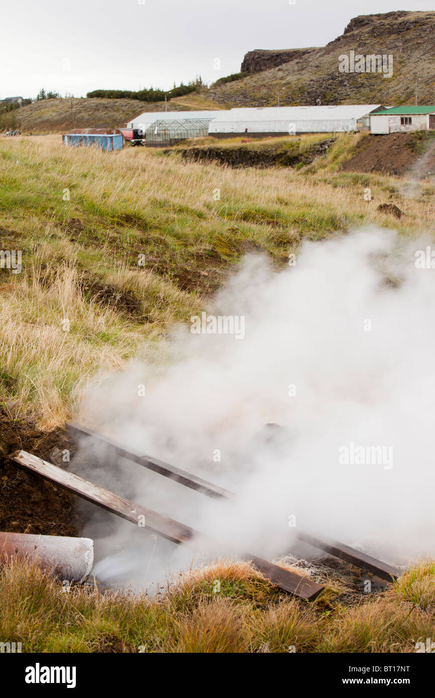 Greenhouses in Hveragerdi heated by geothermal heat, Iceland. Stock Photo