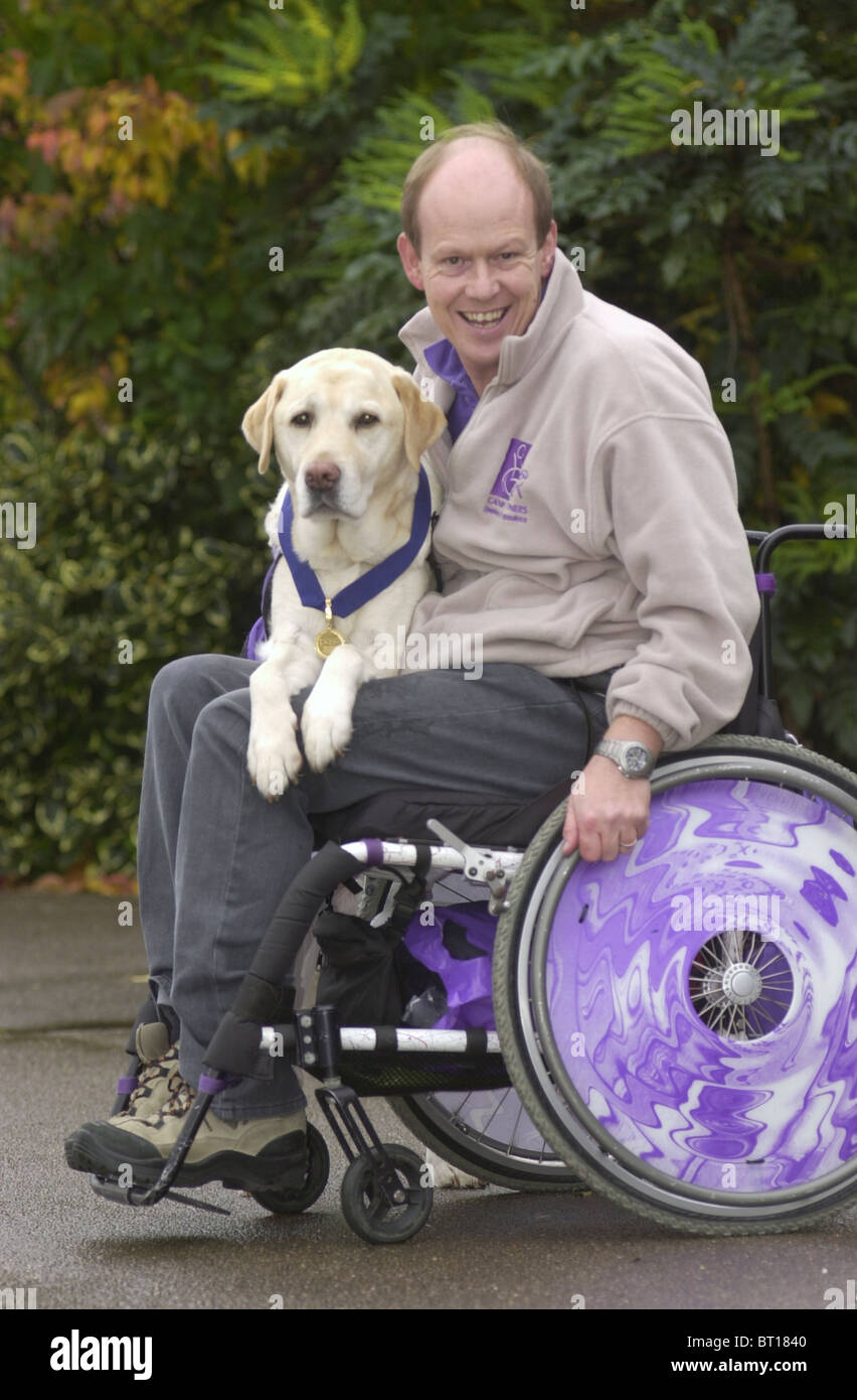 Canine Partners are trained dogs that help disabled people in the UK Stock Photo Alamy
