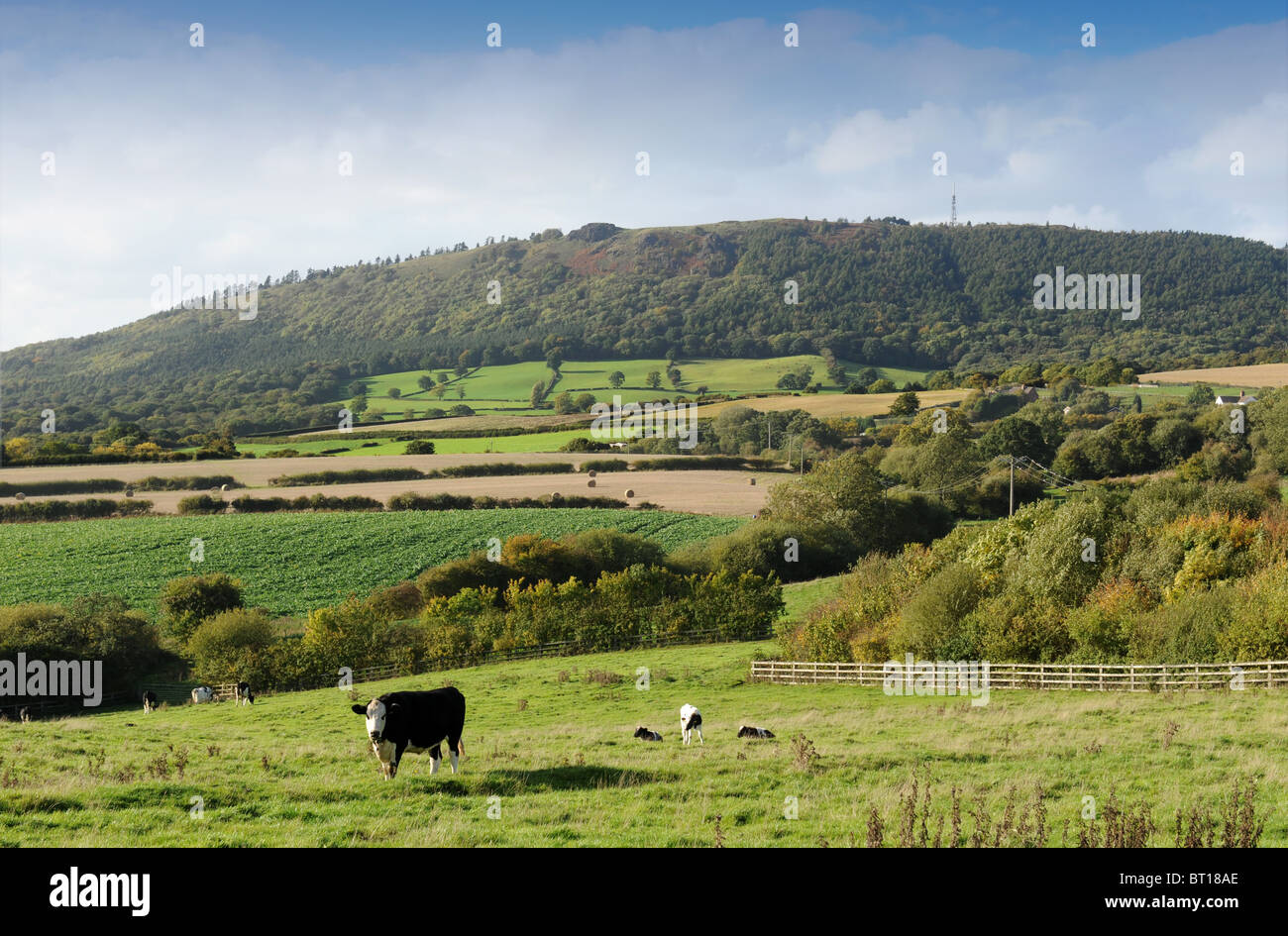 The Wrekin hill in Shropshire England Uk Stock Photo