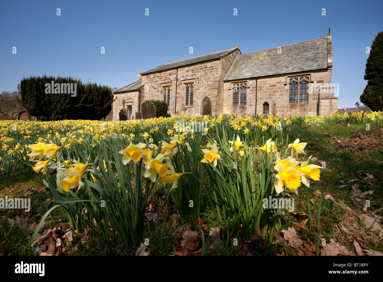 Farndale daffodils and church hi-res stock photography and images - Alamy