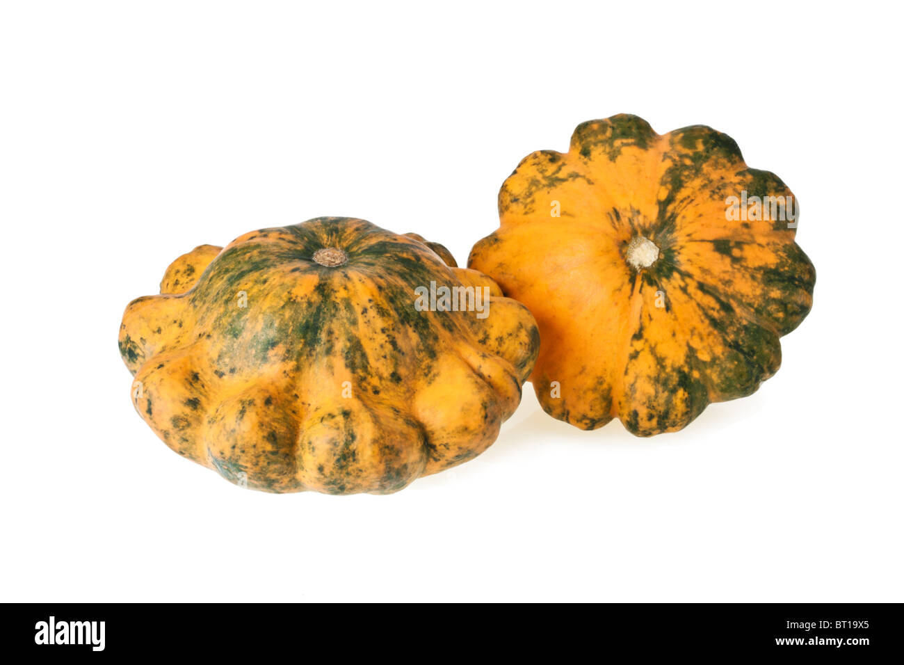 Two motley colorful scalloped squashes isolated on white Stock Photo
