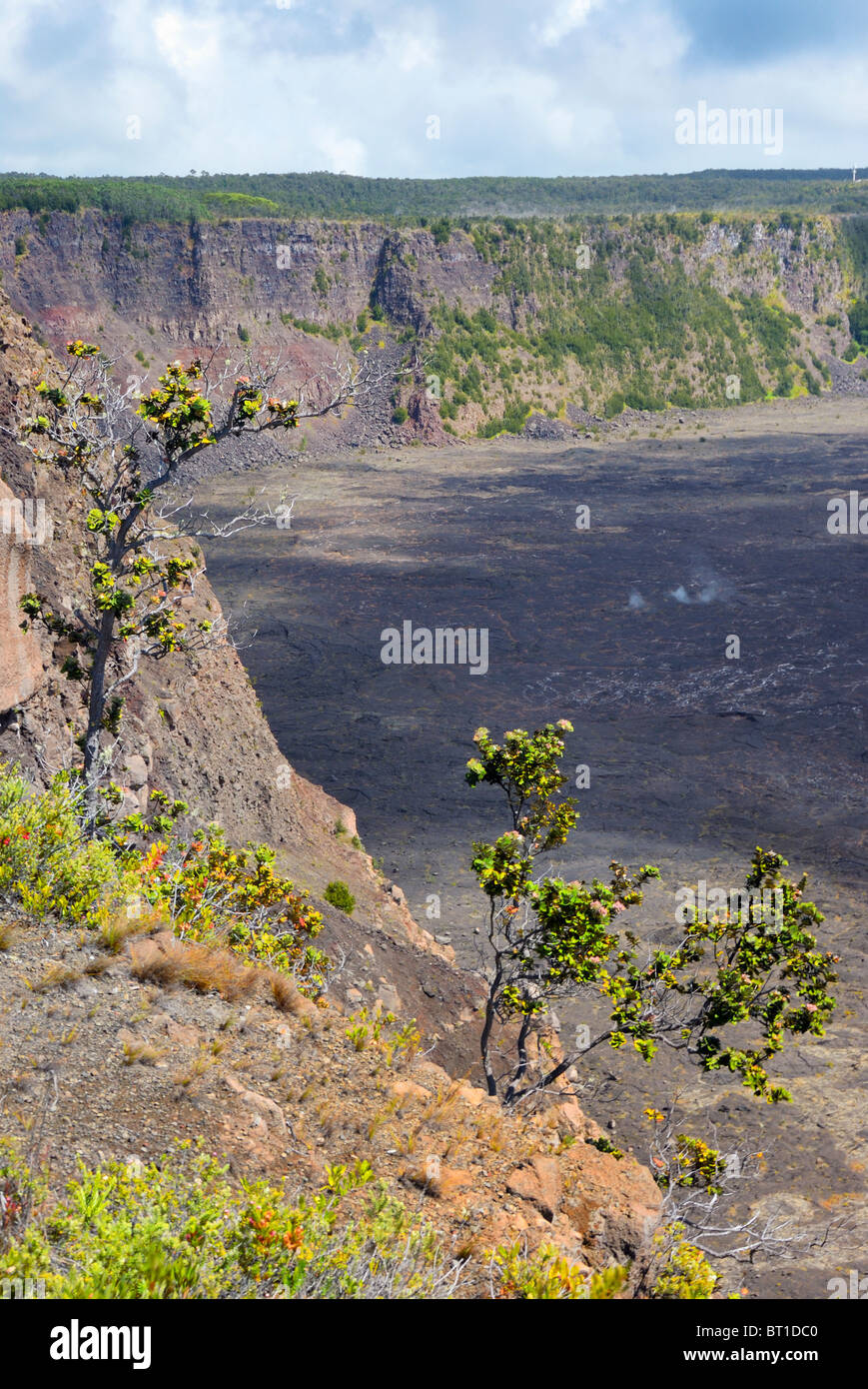 The ridge of Kilauea Caldera, Hawaii Volcanoes National Park, Big ...