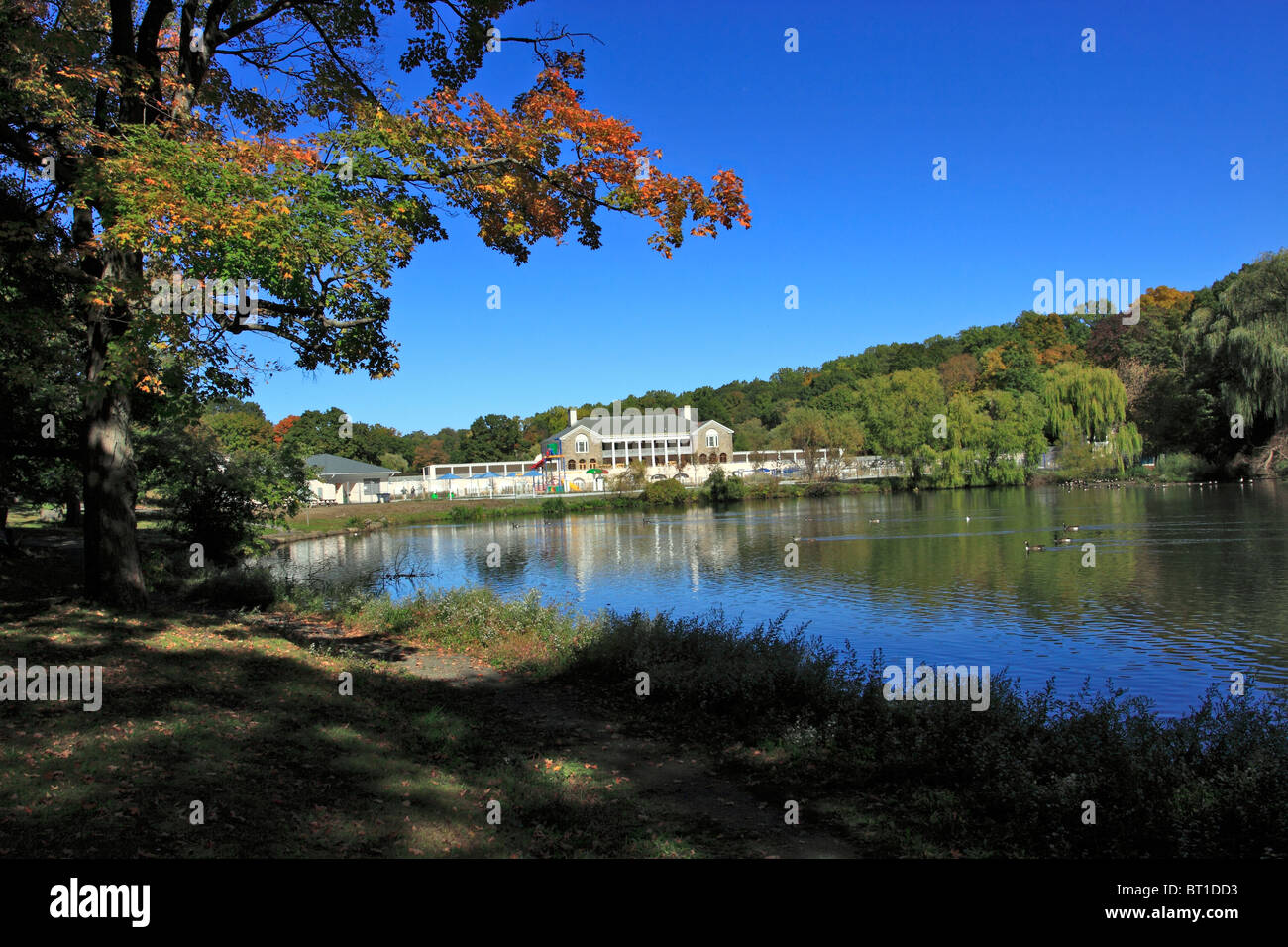 Tibbetts Brook Park, Yonkers, NY Stock Photo Alamy