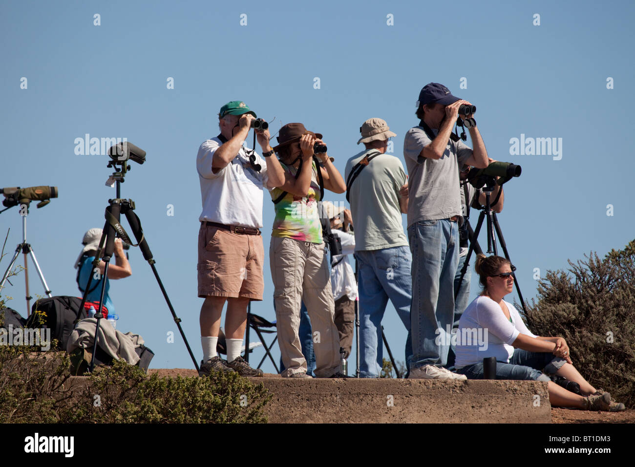 Volunteers at Golden Gate Raptor Observatory atop Hawk Hill in Marin Headlands near San Francisco scan the horizon for raptors. Stock Photo
