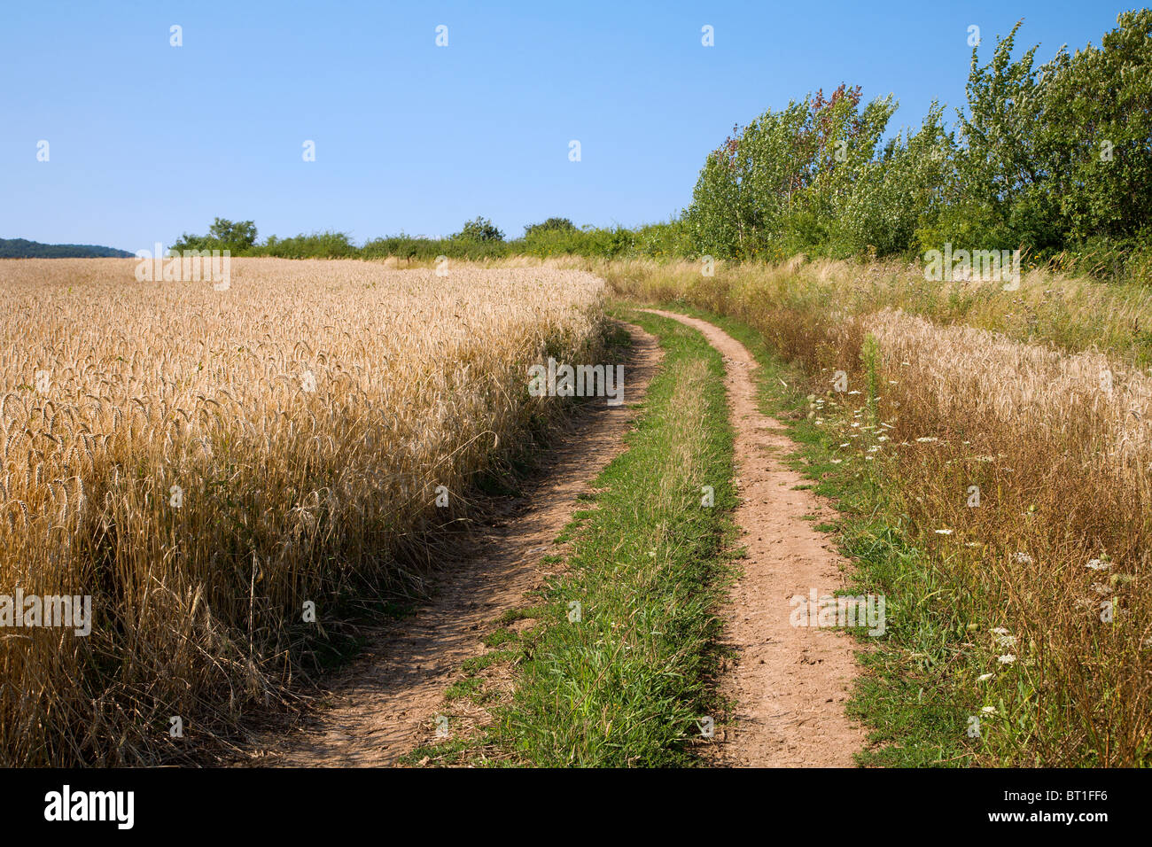 Grain cart hi-res stock photography and images - Alamy