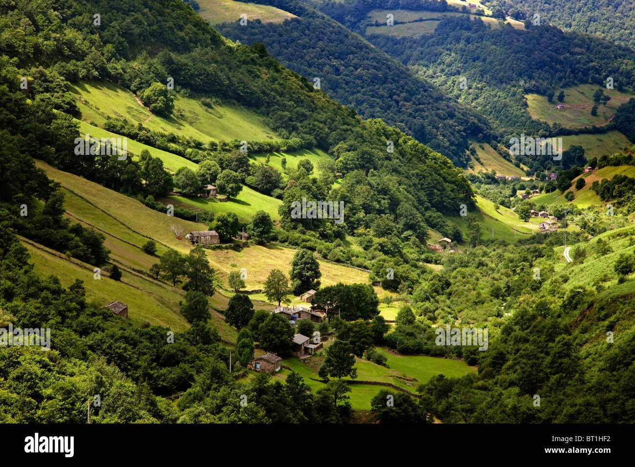 Foto de Vega del Pas en Vega de Pas, Cantabria