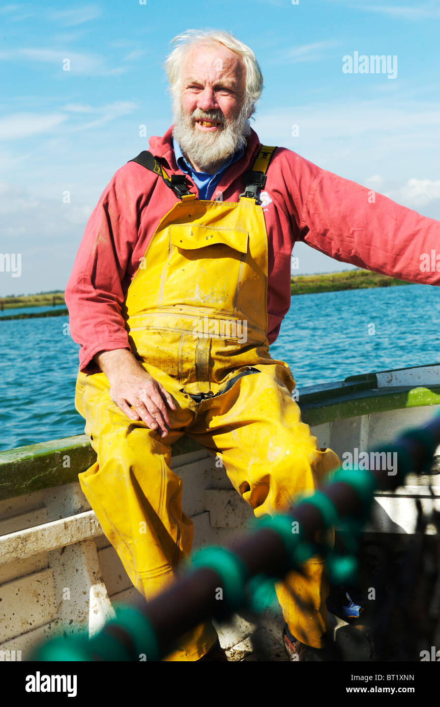 Oyster Fisherman catching Colchester Natives in West Mersea, uk Stock