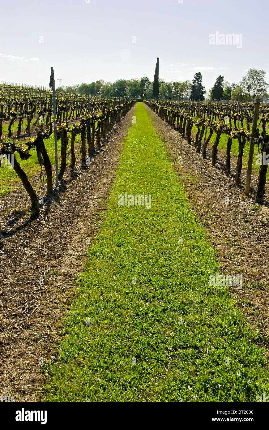 Grass strip hires stock photography and images Alamy