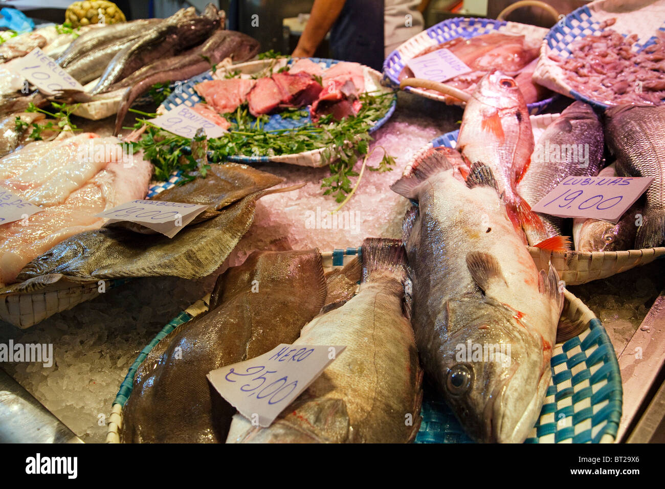 Pescados en el Mercado de la Esperanza Santander Cantabria España Fish Market Santander Cantabria Spain Stock Photo