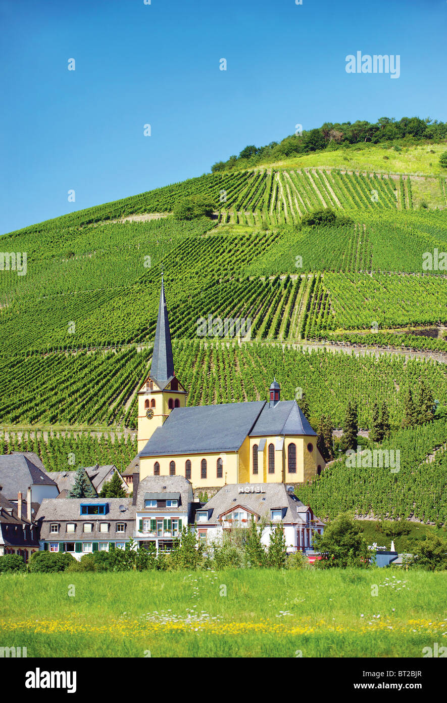 Zeltingen,(Zeltingen-Rachtig),Moselle Valley,Germany.Church & vineyards. Stock Photo