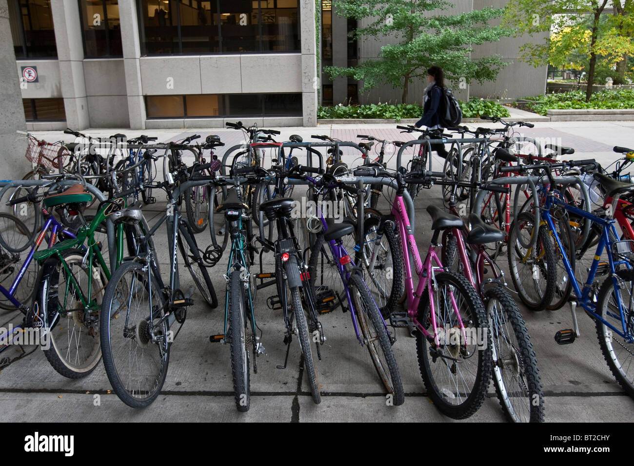 A rack full of bikes is pictured on the University of Ottawa campus in