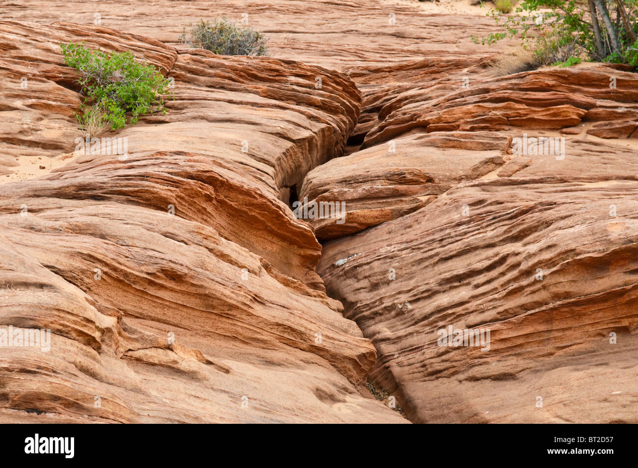 Sandstone formation, Page, Glen Canyon Arizona, USA Stock Photo