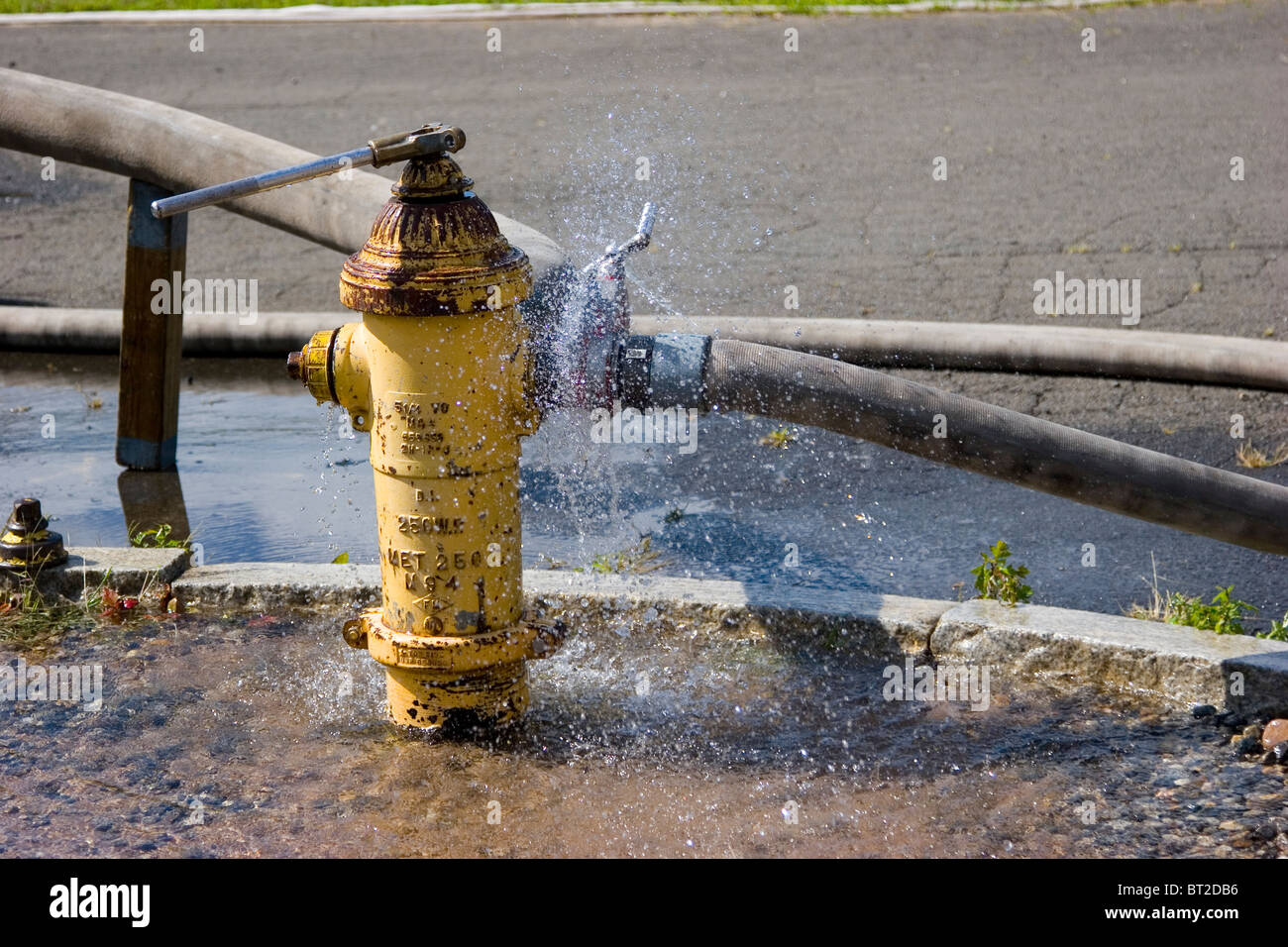 Yellow fire hydrant with fire hoses attached, spraying water Stock