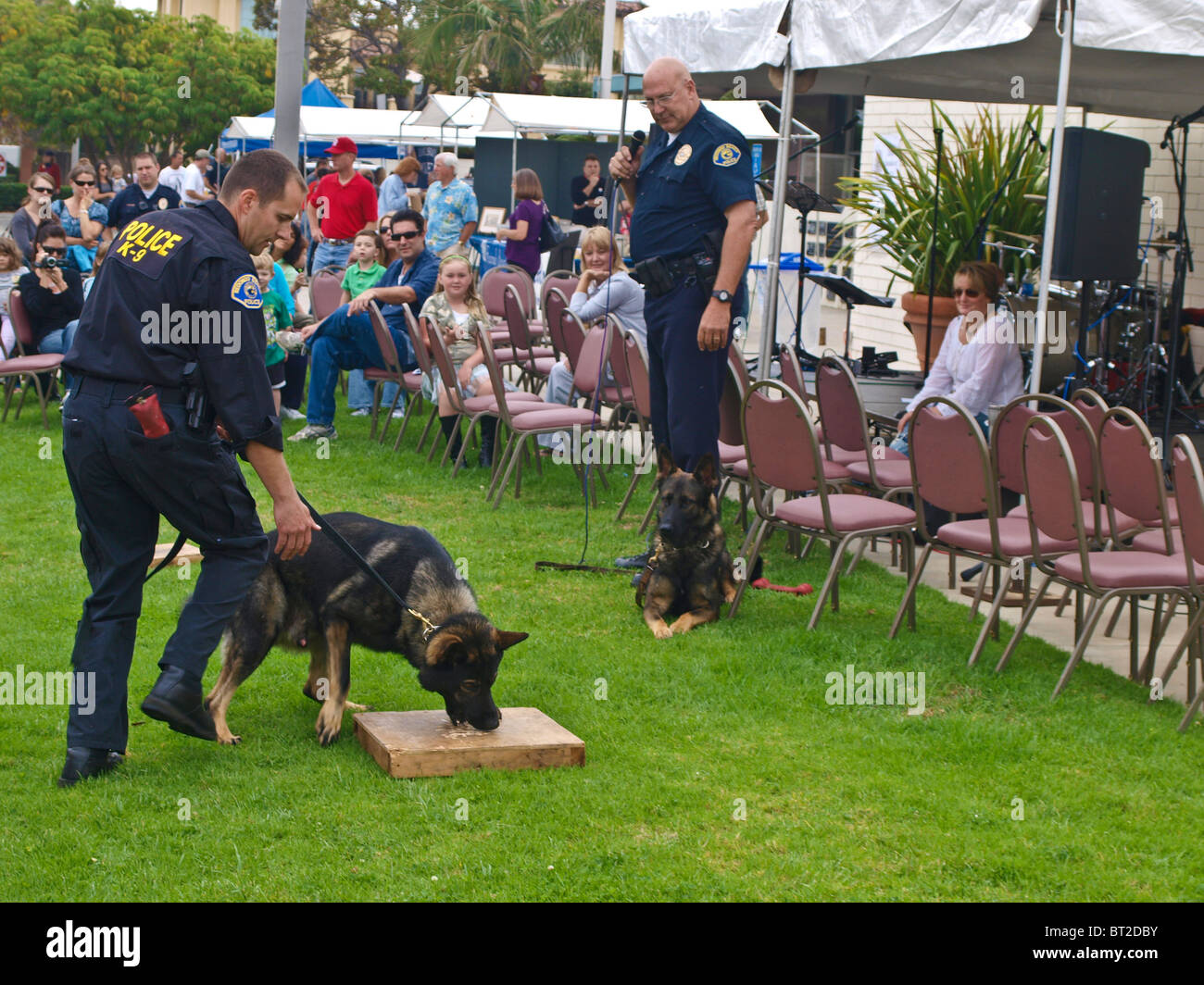 Police dog finds drug stash under wooden box. Part of K9 trials exhibition. Stock Photo