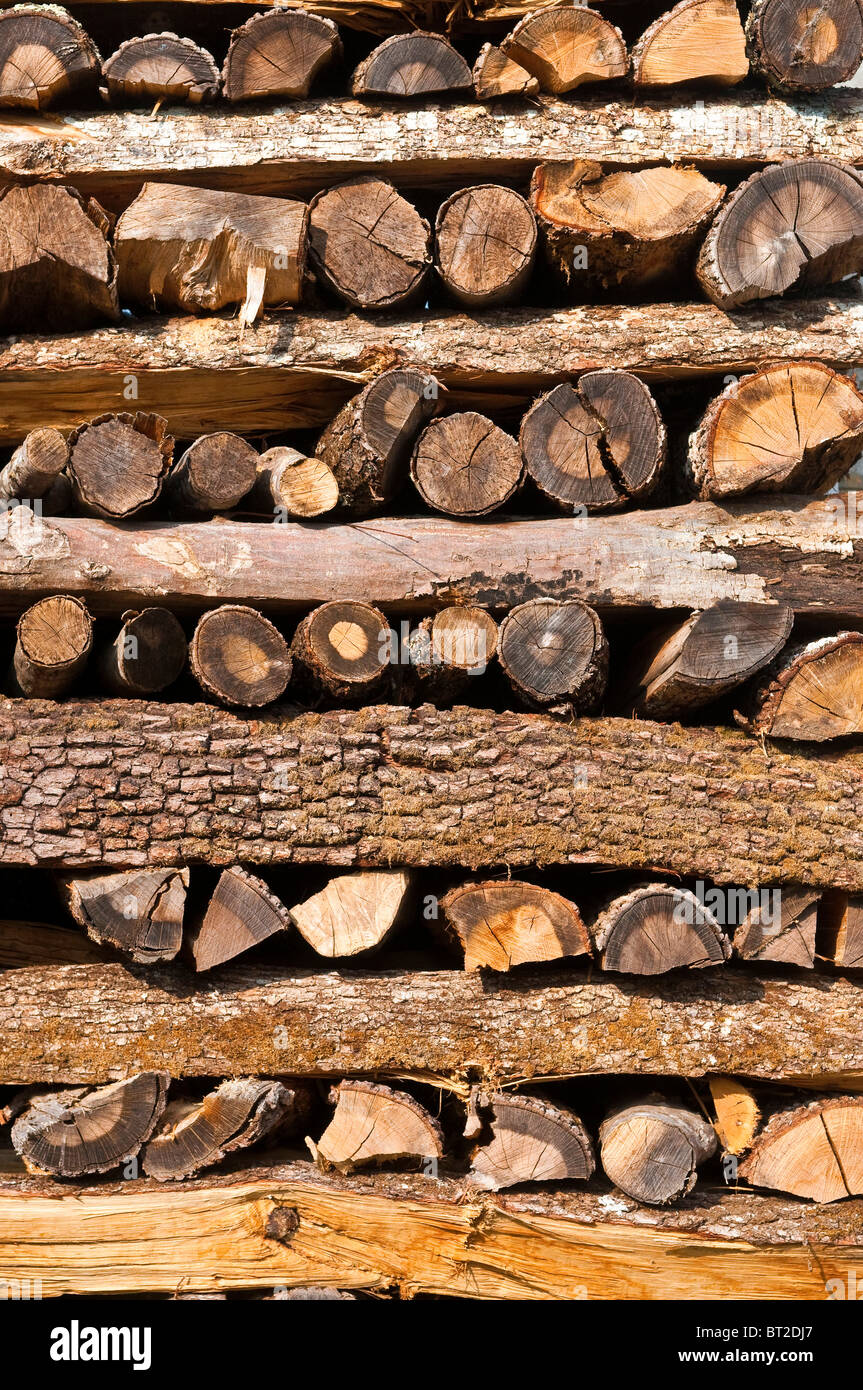 Stack of chopped Oak wood for domestic fuel, open fires and stoves - France. Stock Photo