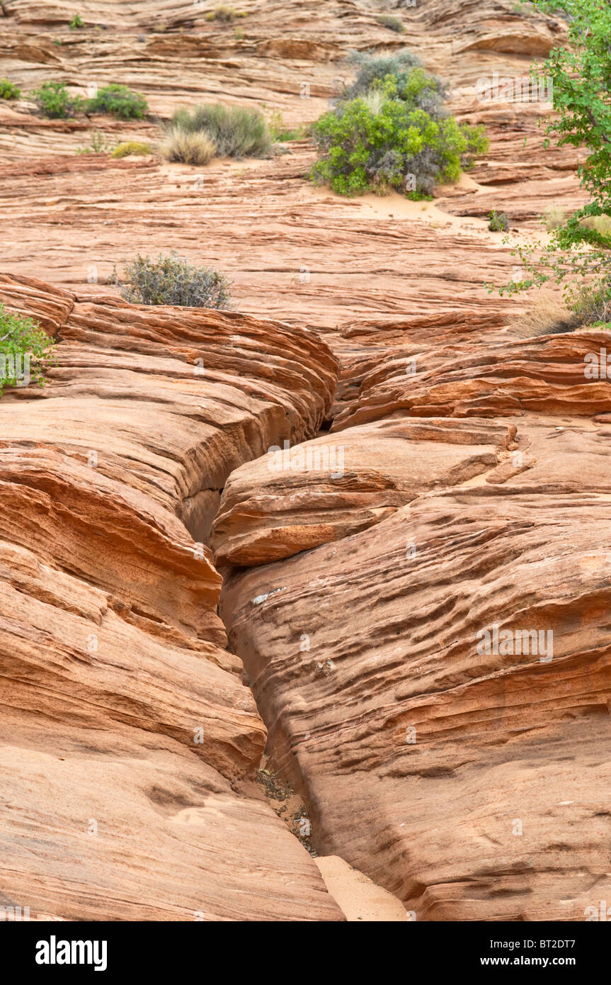 Sandstone formation, Page, Glen Canyon Arizona, USA Stock Photo