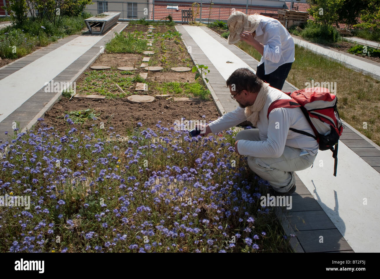 Paris, France, Couple Visiting Rooftop Community Garden on New Low