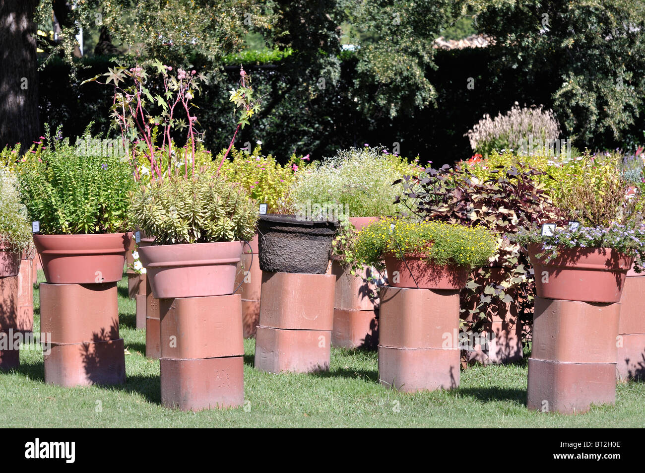 Potted plants, Dallas arboretum, Texas, USA Stock Photo Alamy