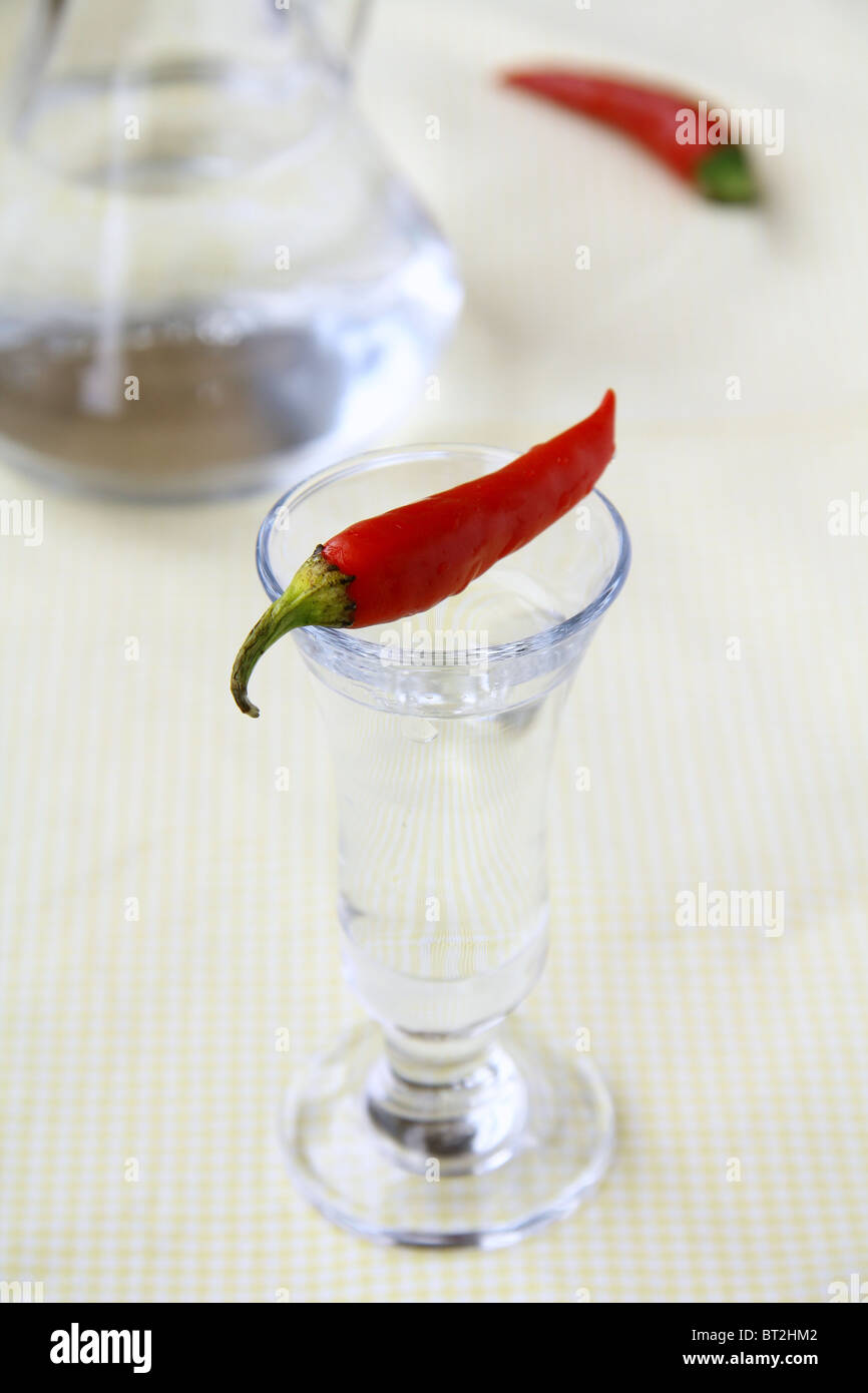 Russian vodka with red chili and a bottle Stock Photo