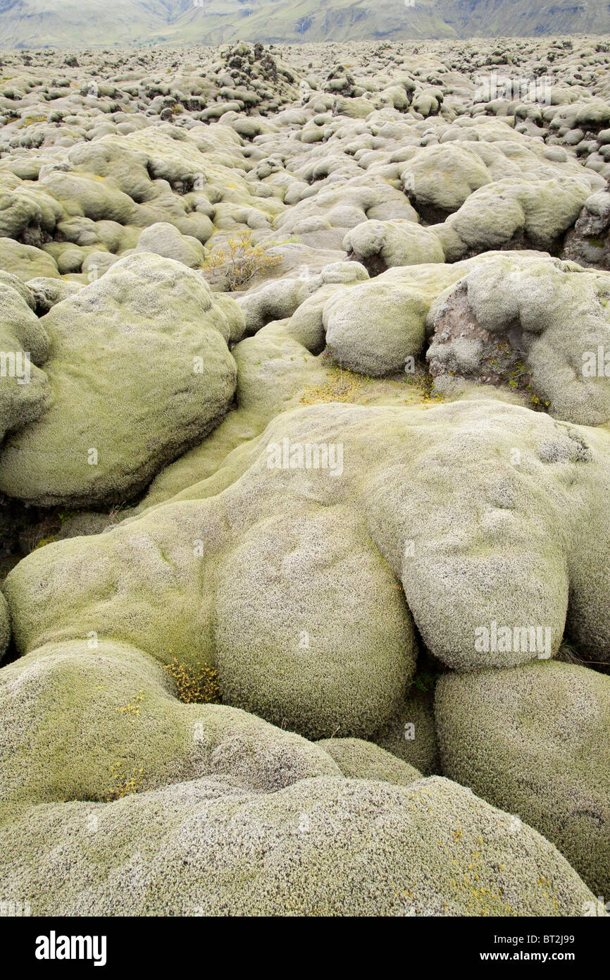 Moss covered lava fields at Kirkjubaejarklauster, Iceland. Stock Photo