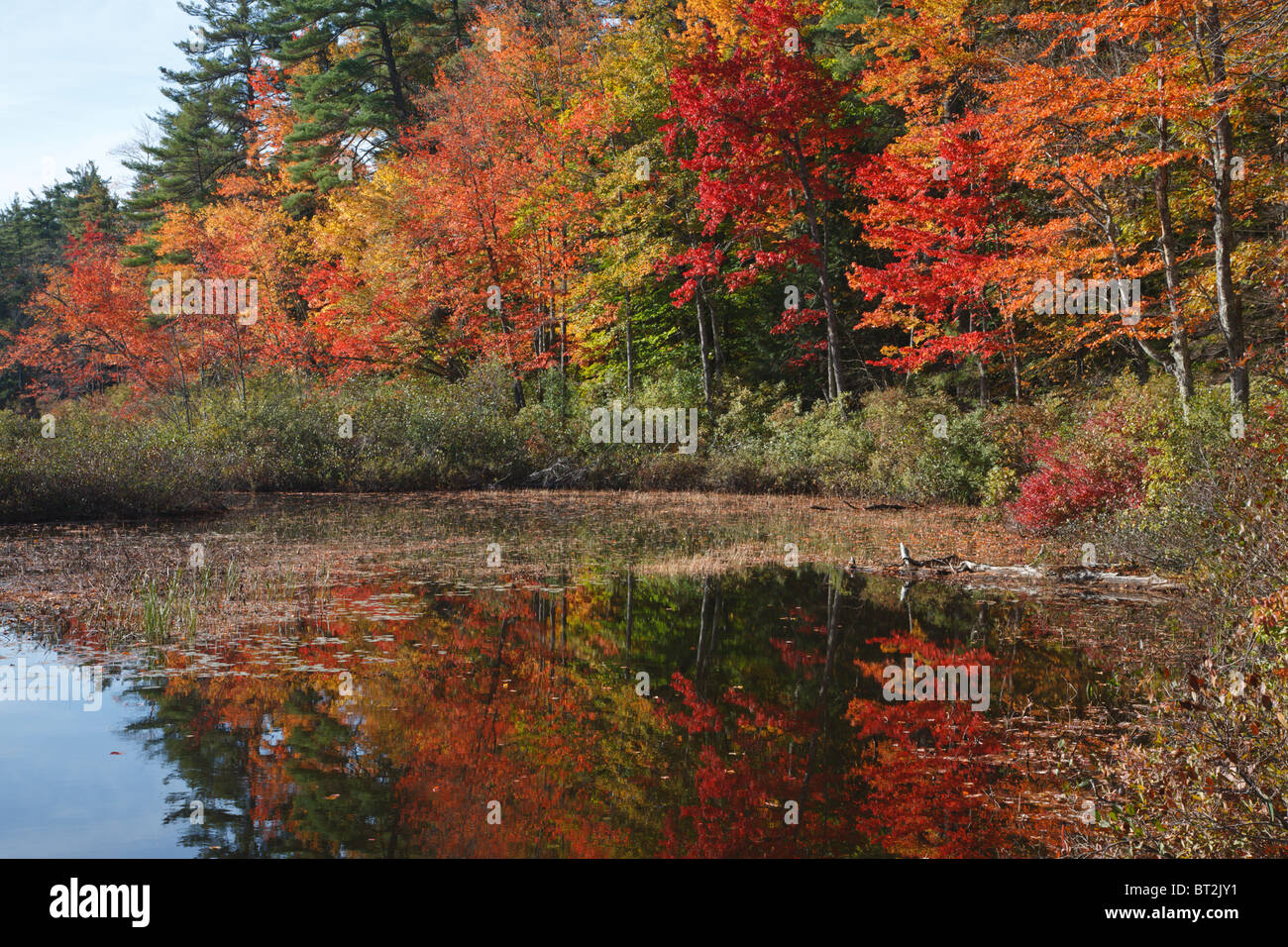 Chocorua Lake in Tamworth, New Hampshire USA during the autumn months
