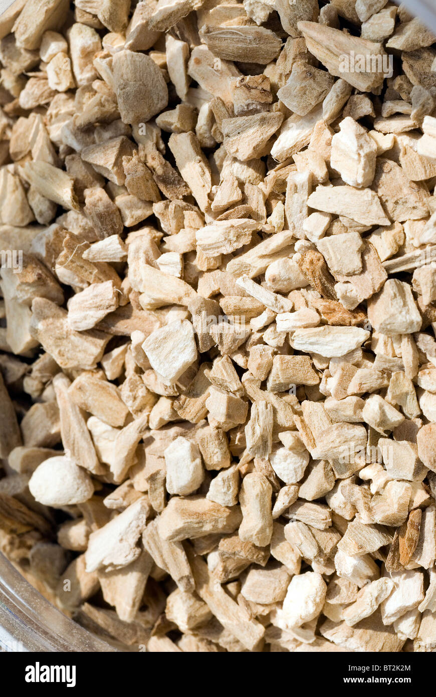 Pieces of sweet calamus seeds Stock Photo
