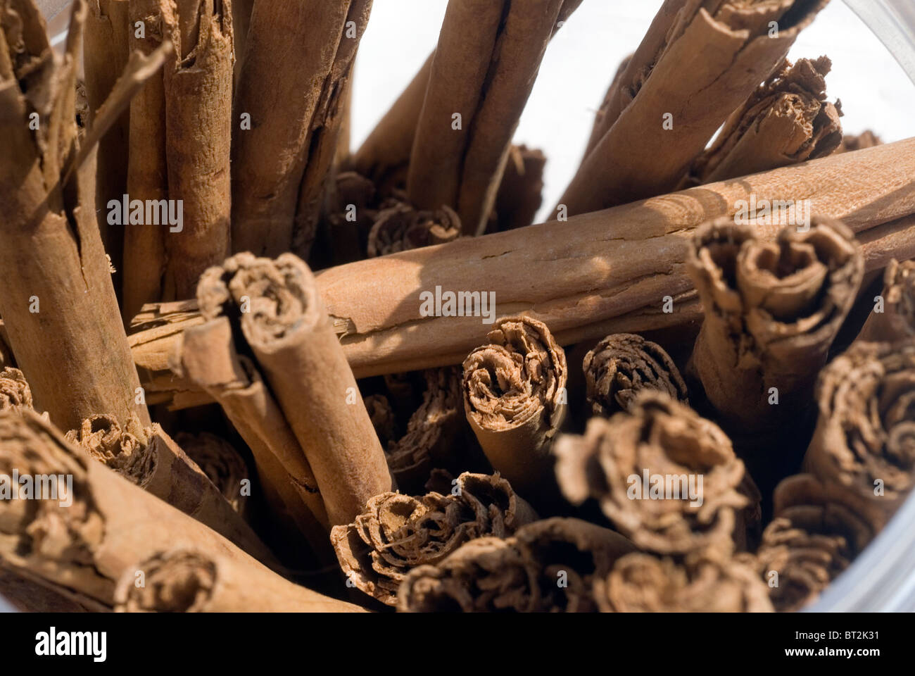 Batch of cinnamon sticks in a light vase Stock Photo Alamy