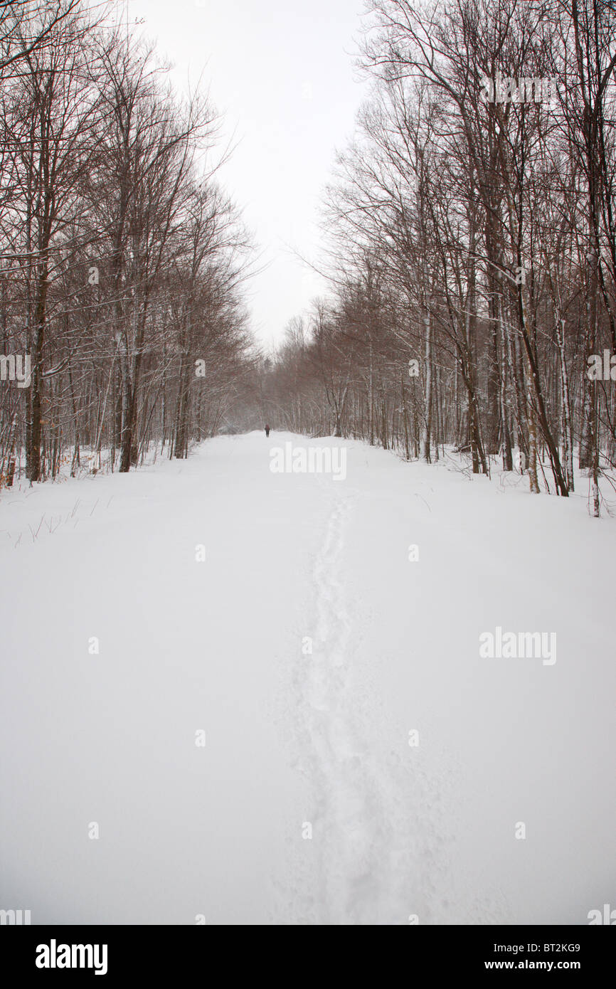 Snow covered forest road in the White Mountains, New Hampshire USA ...
