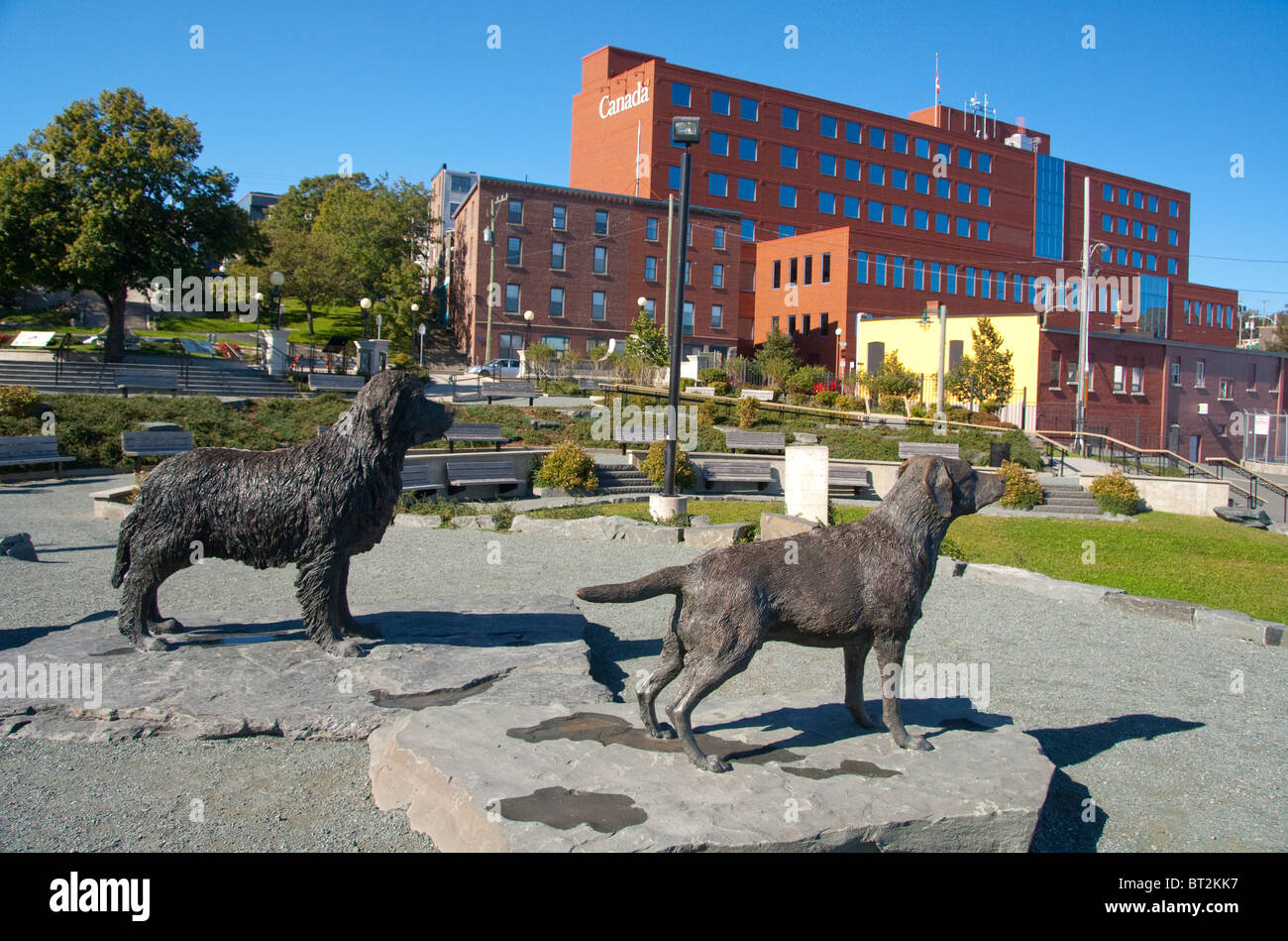 Canada, Newfoundland, St. John's. Waterfront 'Harbourside Park'. Bronze statues of dogs. Stock Photo