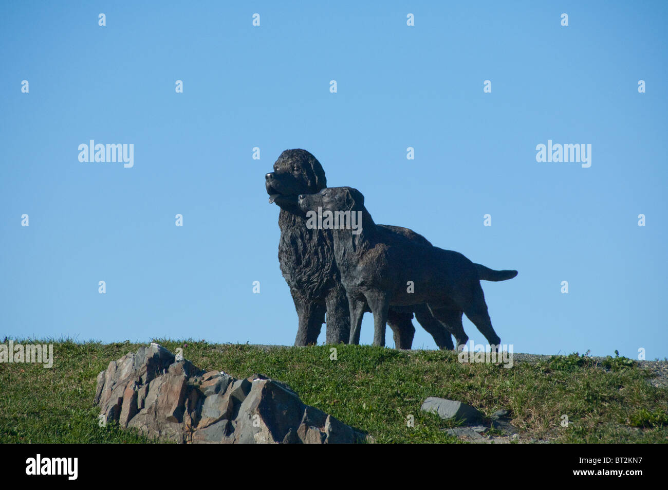 Canada, Newfoundland and Labrador, St. John's. Statues of Newfoundland & Labrador dogs, famous dog breeds native to the area. Stock Photo