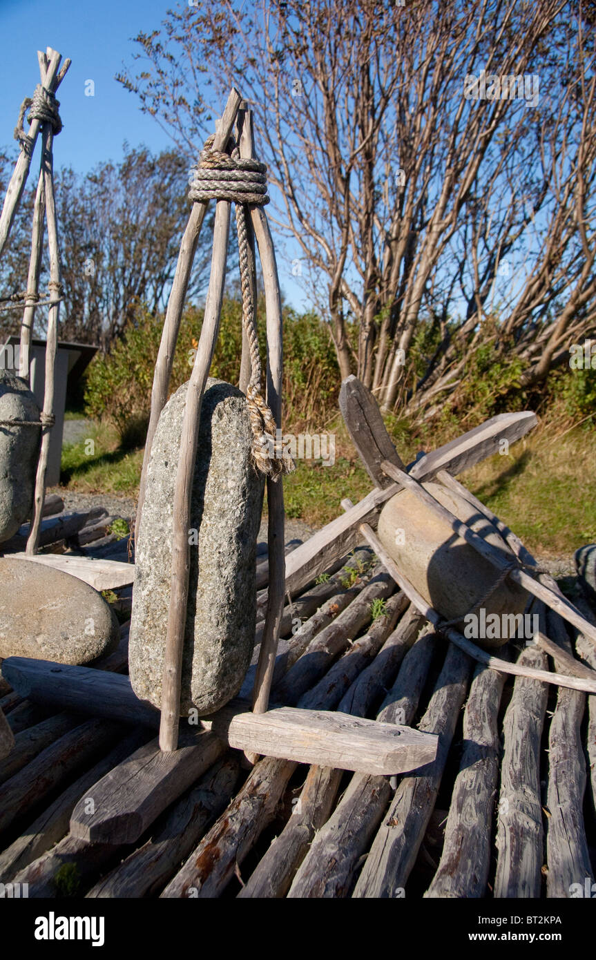 Trees Newfoundland Canada Stock Photos & Trees Newfoundland Canada