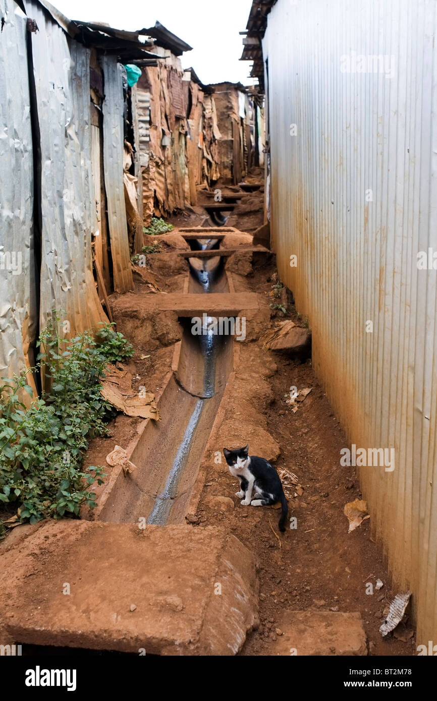 Slum Nairobi, Kenya. Stock Photo