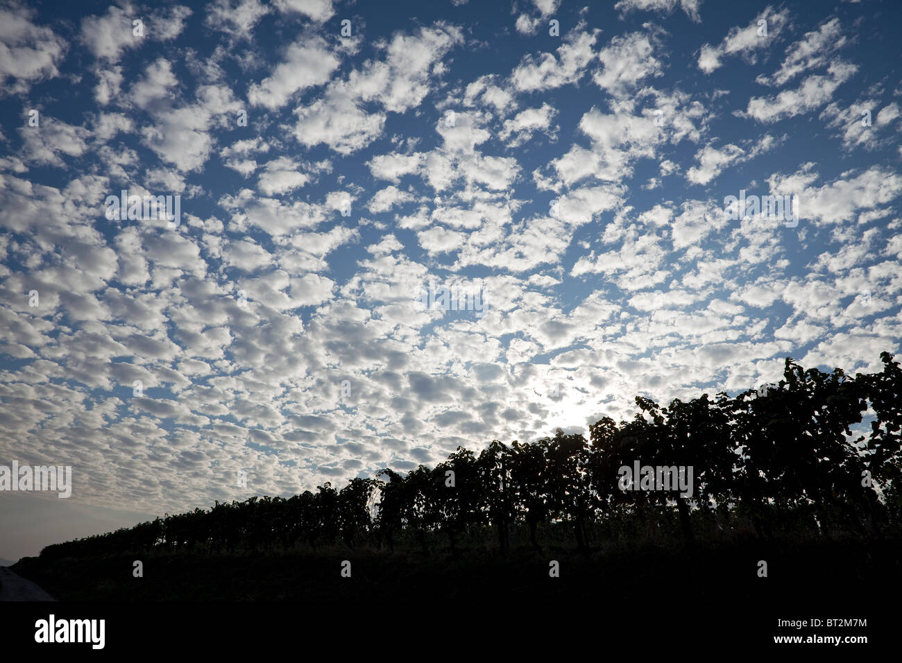 Dark blue sky many small hi-res stock photography and images - Alamy