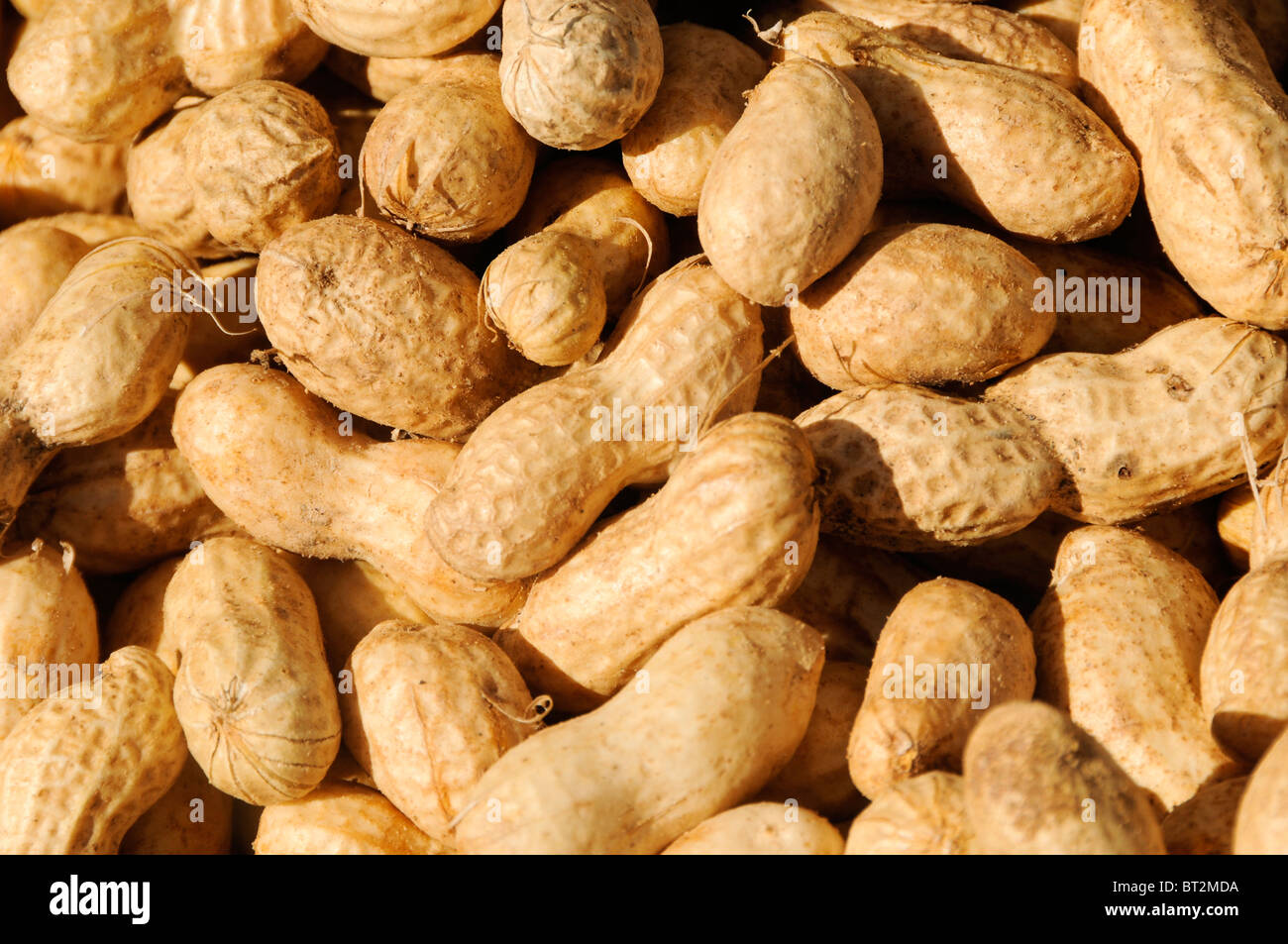 Fresh Raw Peanuts Stock Photo Alamy