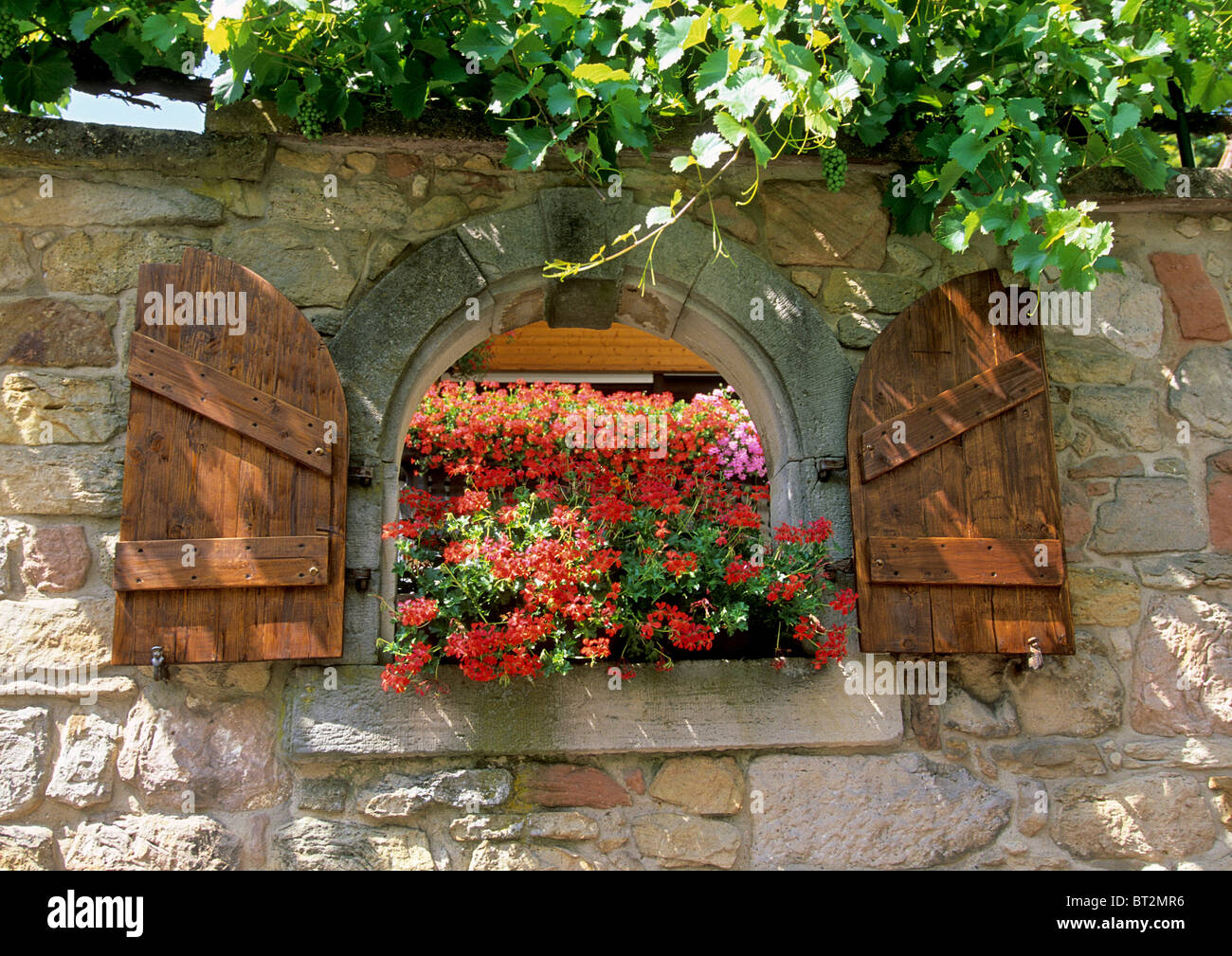 window in a stonewall with red flowers Stock Photo - Alamy