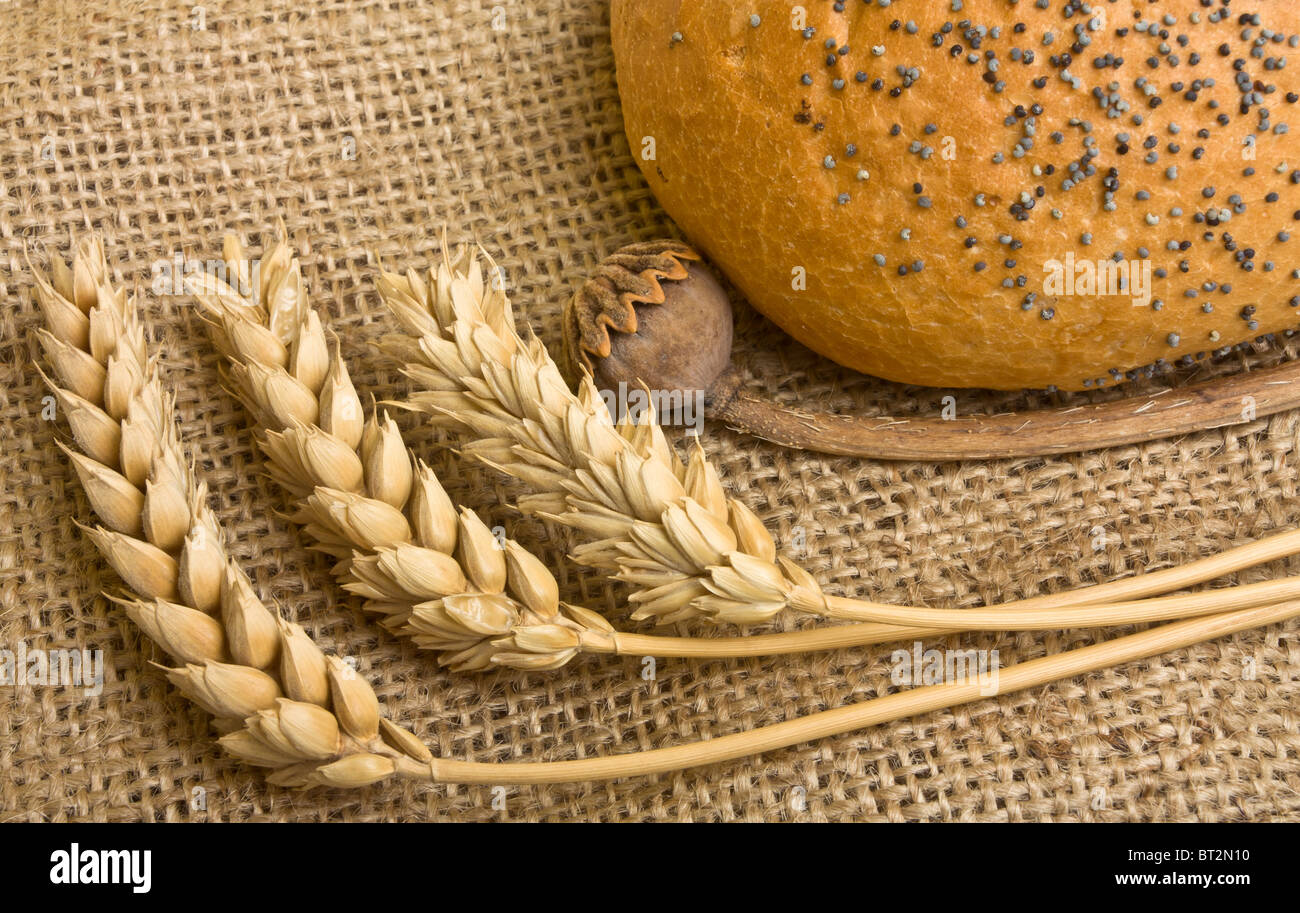 Poppy seeded bloomer on sacking with dried ear of wheat and poppy stem Stock Photo
