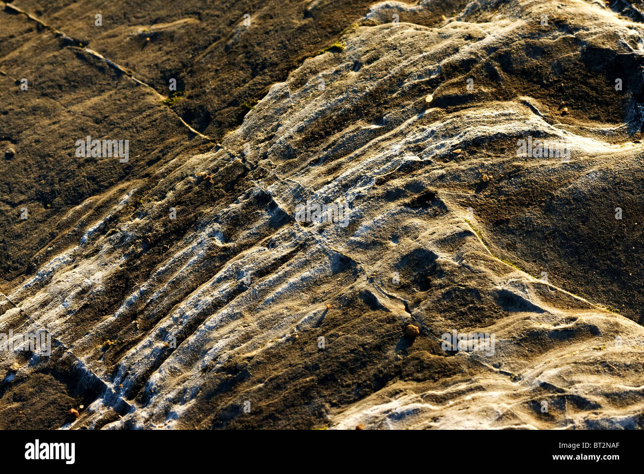 Rock detail on Kilve beach in form of an abstract. Stock Photo