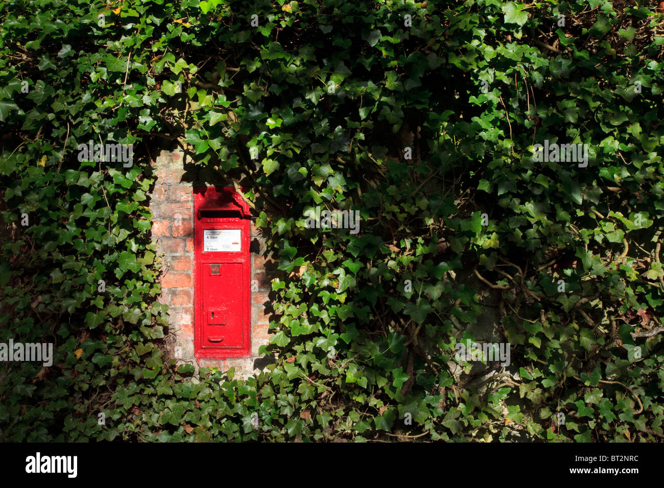 Red postbox set into an ivy covered brick wall in Gawsworth Cheshire UK Stock Photo