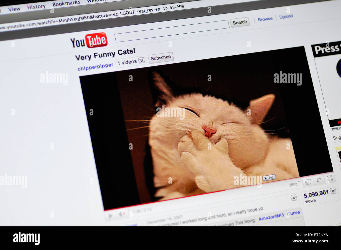 YouTube website showing funny cat Stock Photo - Alamy