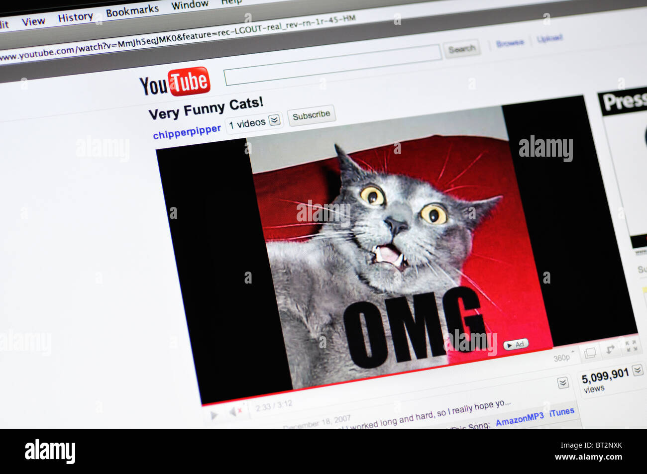 YouTube website showing funny cat Stock Photo - Alamy YouTube website showing funny cat Stock Photo - Alamy