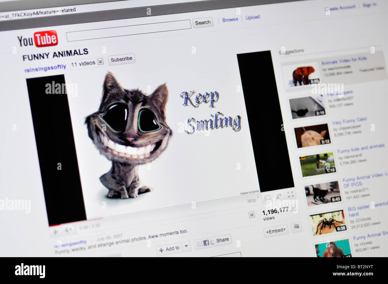 YouTube website showing funny cat Stock Photo - Alamy YouTube website showing funny cat Stock Photo - Alamy