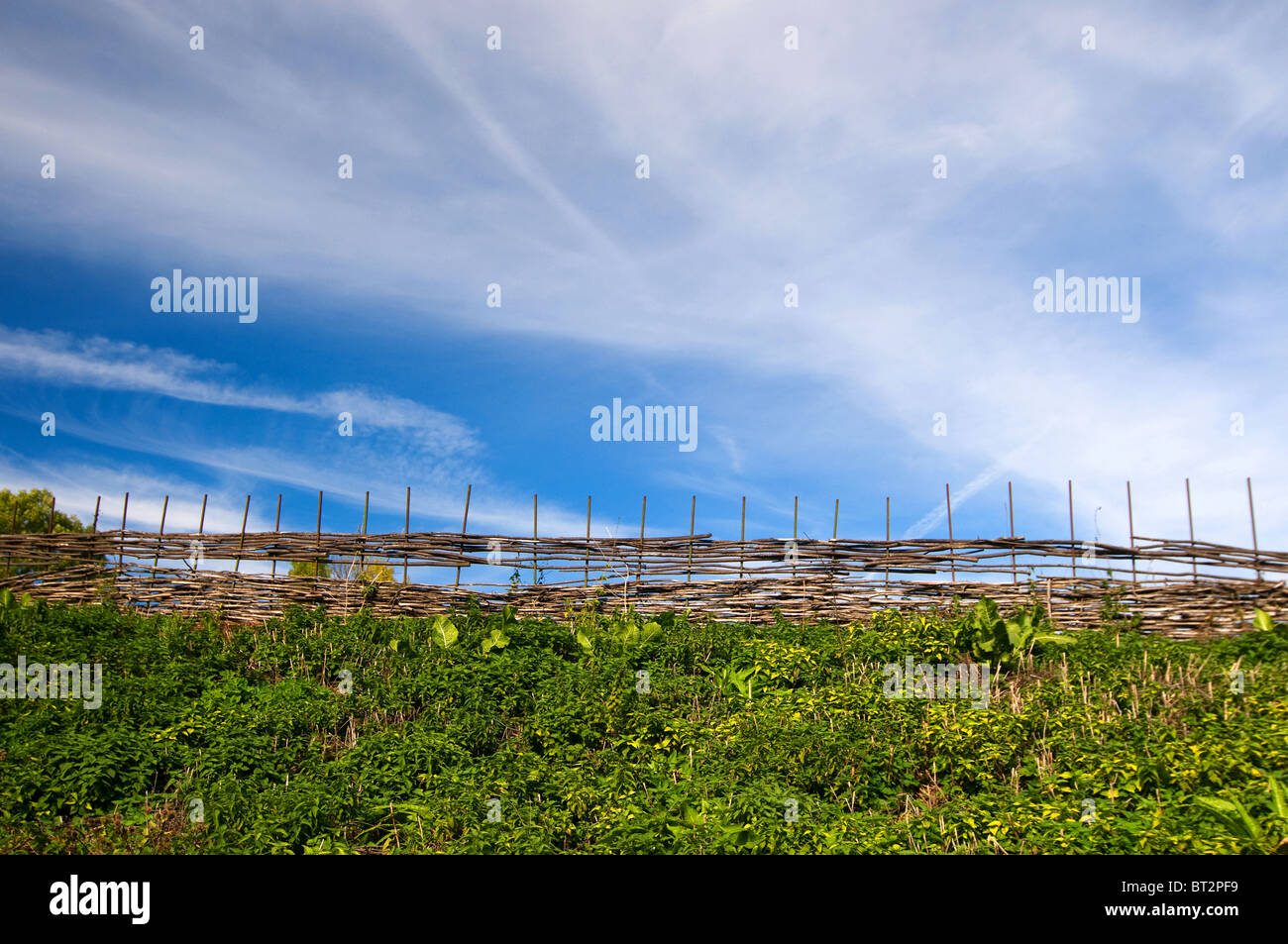 green grass, fence and blue sky with clouds Stock Photo - Alamy