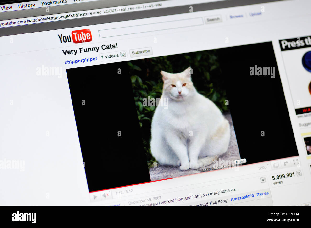 YouTube website showing funny fat cat Stock Photo Alamy