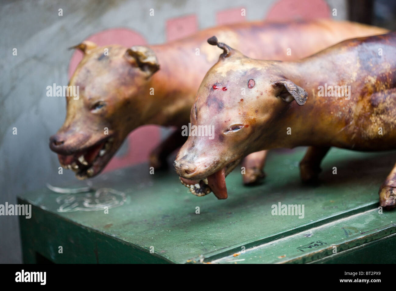 Dog meat on sale in Hanoi Vietnam Stock Photo