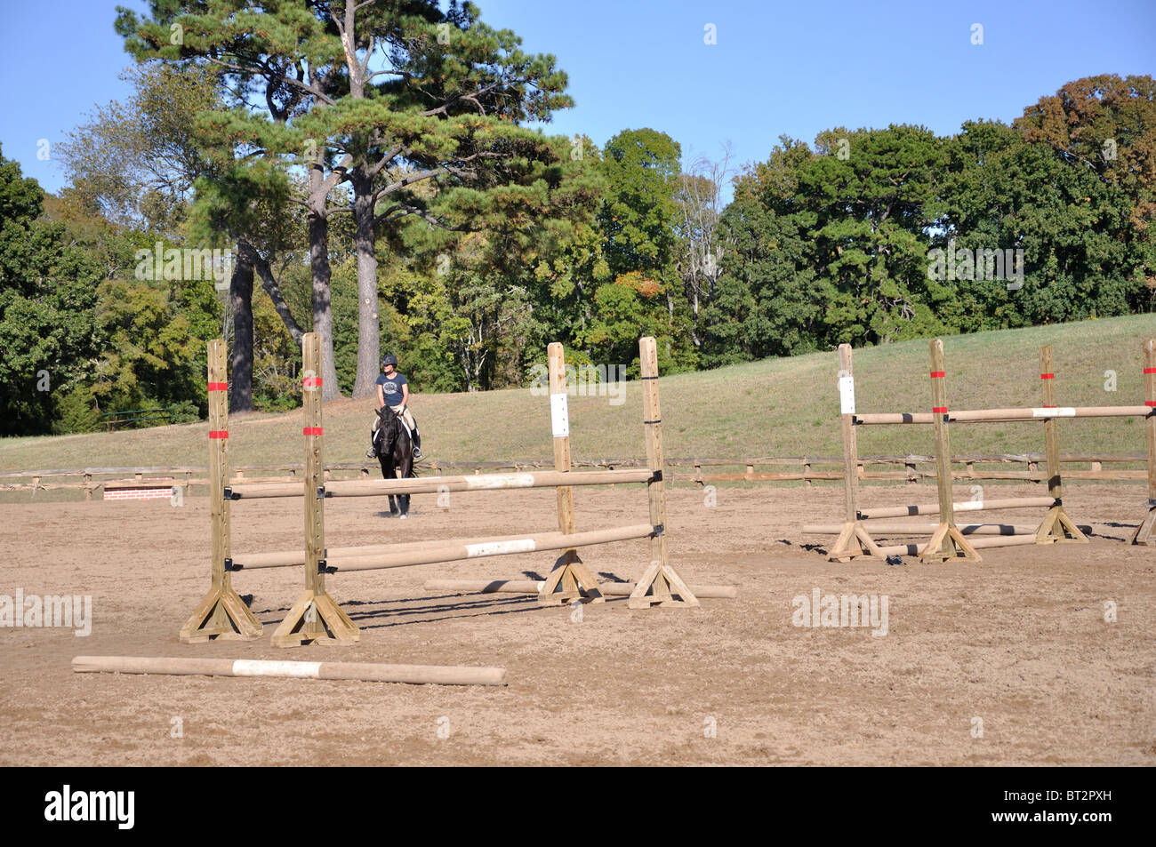 Equine horse jumps Stock Photo