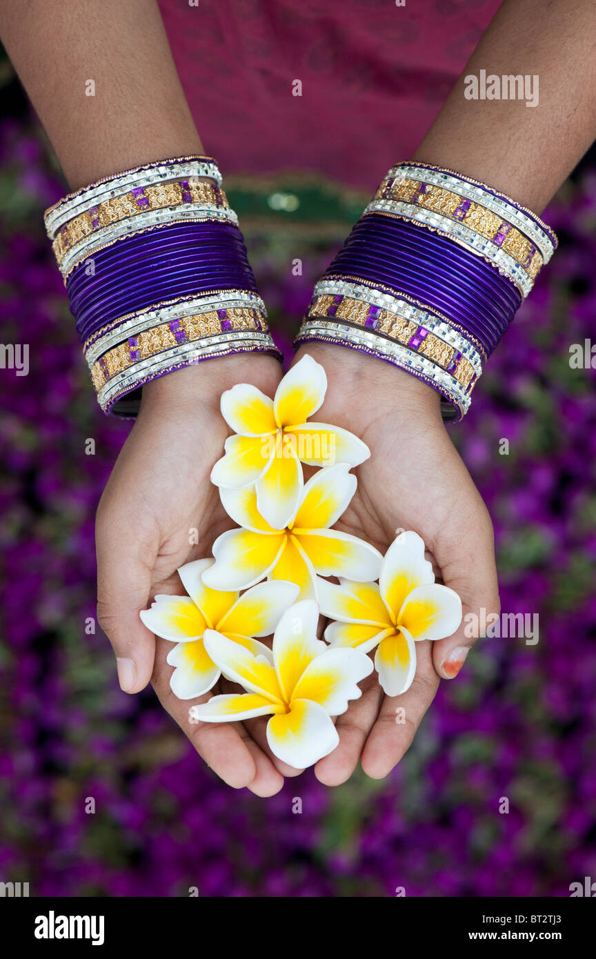Indian girls hands with bangles holding frangipani flowers. India Stock Photo